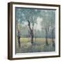 Morning Mist-Tim OToole-Framed Art Print