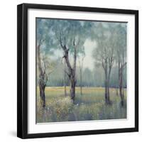 Morning Mist-Tim OToole-Framed Art Print