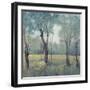 Morning Mist-Tim OToole-Framed Art Print