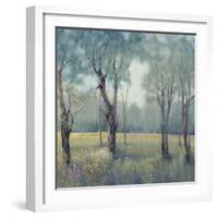 Morning Mist-Tim OToole-Framed Art Print