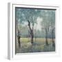 Morning Mist-Tim OToole-Framed Art Print