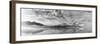 Morning Mist-Marloes Van Pareren-Framed Photographic Print