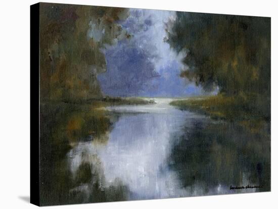 Morning Mist-Barbara Chenault-Stretched Canvas