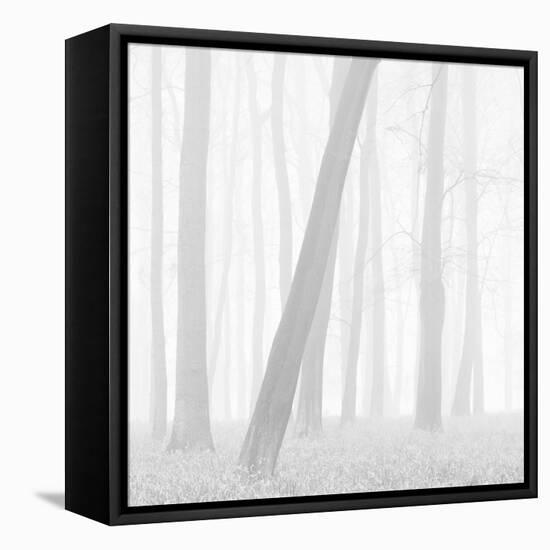 Morning Mists I-Doug Chinnery-Framed Stretched Canvas