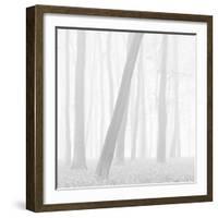 Morning Mists I-Doug Chinnery-Framed Photographic Print