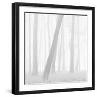 Morning Mists I-Doug Chinnery-Framed Photographic Print