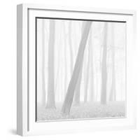 Morning Mists I-Doug Chinnery-Framed Photographic Print