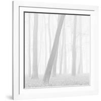 Morning Mists I-Doug Chinnery-Framed Photographic Print