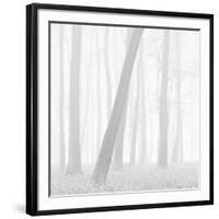 Morning Mists I-Doug Chinnery-Framed Photographic Print