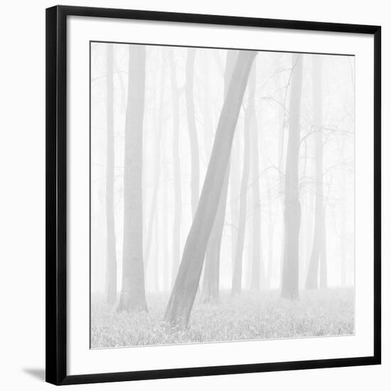 Morning Mists I-Doug Chinnery-Framed Photographic Print