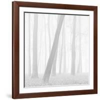 Morning Mists I-Doug Chinnery-Framed Photographic Print