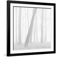 Morning Mists I-Doug Chinnery-Framed Photographic Print