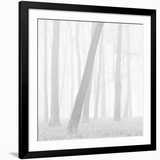 Morning Mists I-Doug Chinnery-Framed Photographic Print