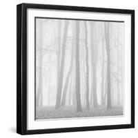 Morning Mists II-Doug Chinnery-Framed Premium Photographic Print