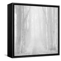 Morning Mists IIi-Doug Chinnery-Framed Stretched Canvas