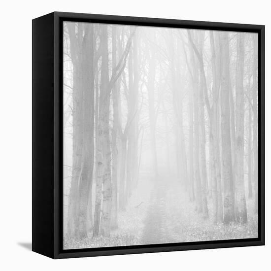Morning Mists IIi-Doug Chinnery-Framed Stretched Canvas