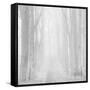 Morning Mists IIi-Doug Chinnery-Framed Stretched Canvas