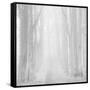 Morning Mists IIi-Doug Chinnery-Framed Stretched Canvas