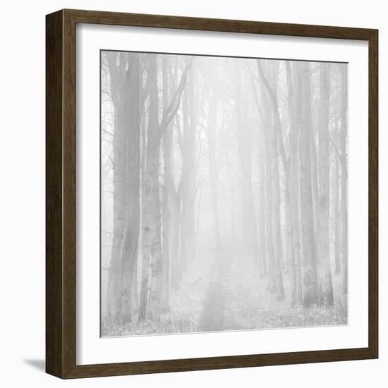 Morning Mists IIi-Doug Chinnery-Framed Photographic Print