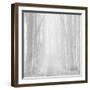 Morning Mists IIi-Doug Chinnery-Framed Photographic Print