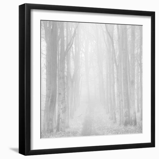 Morning Mists IIi-Doug Chinnery-Framed Photographic Print