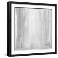 Morning Mists IIi-Doug Chinnery-Framed Photographic Print