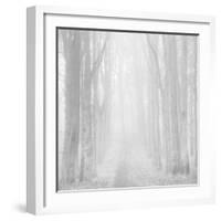 Morning Mists IIi-Doug Chinnery-Framed Photographic Print