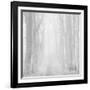 Morning Mists IIi-Doug Chinnery-Framed Photographic Print