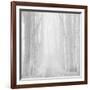 Morning Mists IIi-Doug Chinnery-Framed Photographic Print