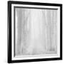 Morning Mists IIi-Doug Chinnery-Framed Photographic Print