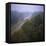 Morning Mists in Rio Negro Region of Amazon Rainforest, Amazonas State, Brazil, South America-Geoff Renner-Framed Stretched Canvas