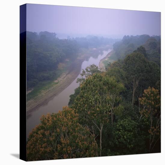 Morning Mists in Rio Negro Region of Amazon Rainforest, Amazonas State, Brazil, South America-Geoff Renner-Stretched Canvas