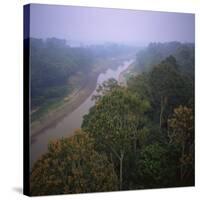 Morning Mists in Rio Negro Region of Amazon Rainforest, Amazonas State, Brazil, South America-Geoff Renner-Stretched Canvas