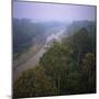 Morning Mists in Rio Negro Region of Amazon Rainforest, Amazonas State, Brazil, South America-Geoff Renner-Mounted Photographic Print