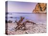 Morning mood at Costa Brava with drifting wood-enricocacciafotografie-Stretched Canvas