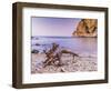 Morning mood at Costa Brava with drifting wood-enricocacciafotografie-Framed Photographic Print