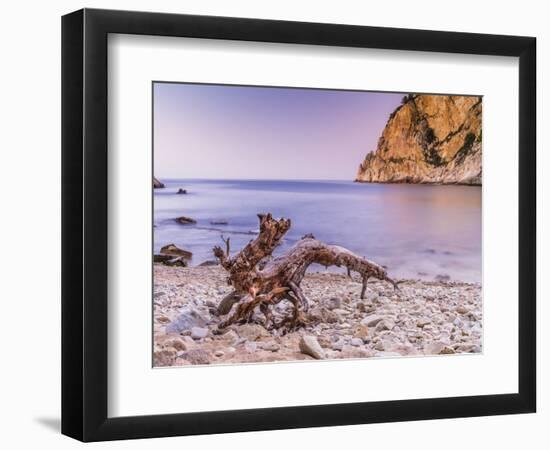 Morning mood at Costa Brava with drifting wood-enricocacciafotografie-Framed Photographic Print