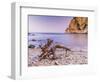 Morning mood at Costa Brava with drifting wood-enricocacciafotografie-Framed Photographic Print