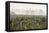 Morning Mood Nature Reserve Radolfzelleraachried, Lake of Constance, Baden-Wurttemberg, Germany-Ernst Wrba-Framed Stretched Canvas