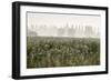 Morning Mood Nature Reserve Radolfzelleraachried, Lake of Constance, Baden-Wurttemberg, Germany-Ernst Wrba-Framed Photographic Print