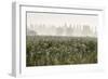 Morning Mood Nature Reserve Radolfzelleraachried, Lake of Constance, Baden-Wurttemberg, Germany-Ernst Wrba-Framed Photographic Print