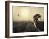 Morning Mood-Kent Mathiesen-Framed Photographic Print