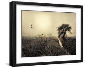 Morning Mood-Kent Mathiesen-Framed Photographic Print