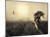 Morning Mood-Kent Mathiesen-Mounted Photographic Print