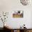 Morning Newspaper-Jennifer Garant-Giclee Print displayed on a wall