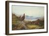 Morning of the Twelfth-Archibald Thorburn-Framed Giclee Print