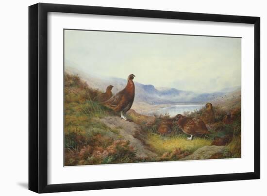 Morning of the Twelfth-Archibald Thorburn-Framed Giclee Print