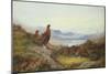 Morning of the Twelfth-Archibald Thorburn-Mounted Giclee Print