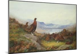 Morning of the Twelfth-Archibald Thorburn-Mounted Giclee Print