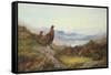 Morning of the Twelfth-Archibald Thorburn-Framed Stretched Canvas